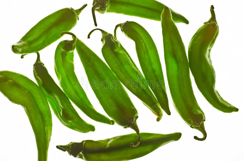 Several hot green hatch chili peppers isolated on white background