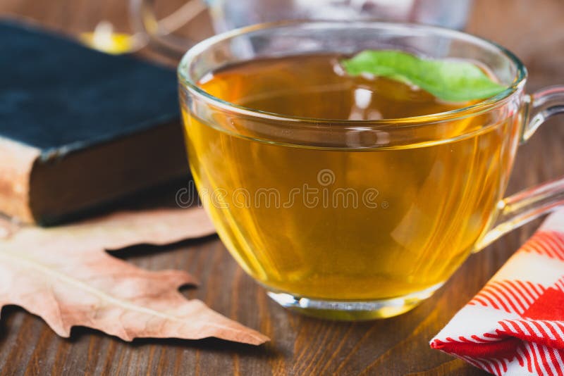Green herbal tea stock image. Image of light, flower 139528565