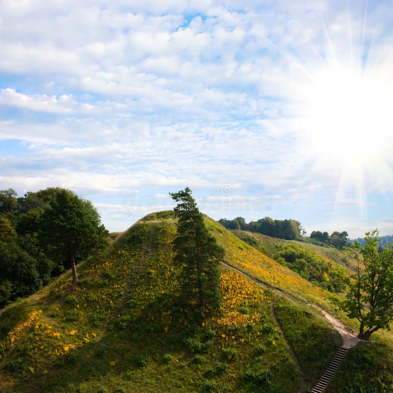 Green hill, summer