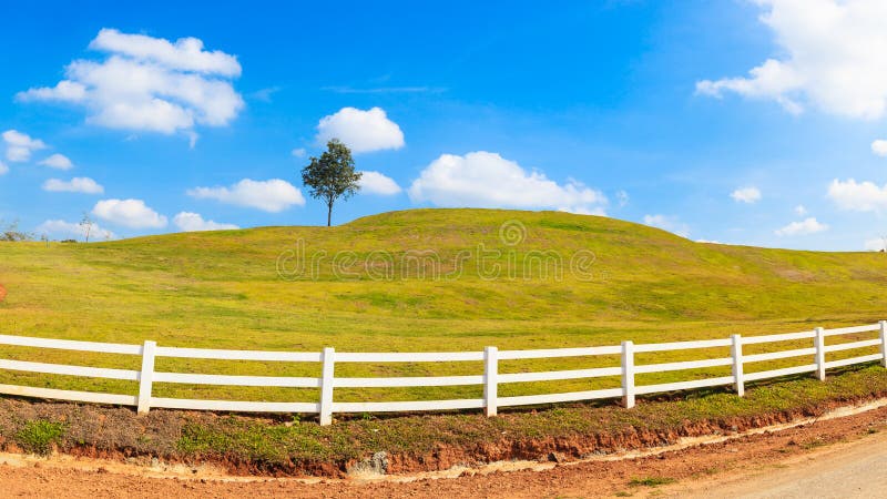 Green hill summer landscape panorama