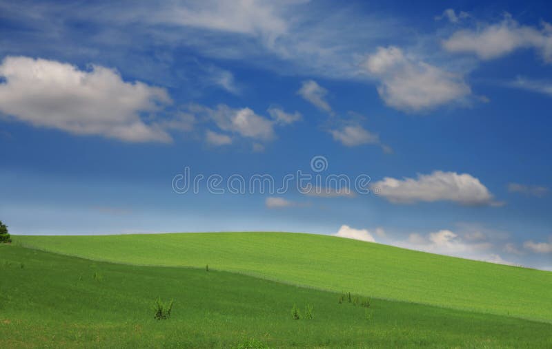 Green hills stock photography