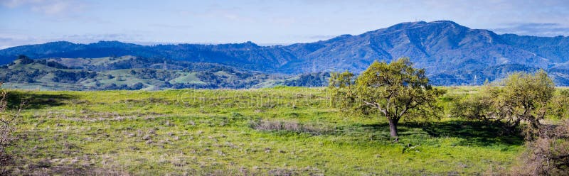 Green hills in south San Francisco bay area, Santa Cruz mountains in the background, San Jose, California