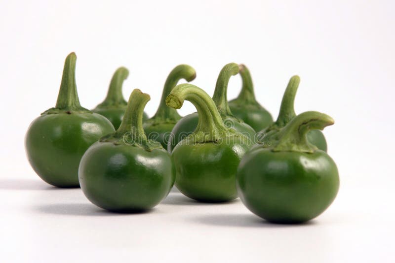 Green hot chili