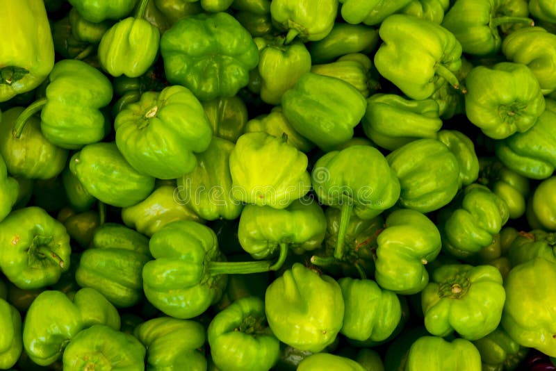Green Hot Jalapeno Pepper Closeup. Stock Photo Image of ingredient