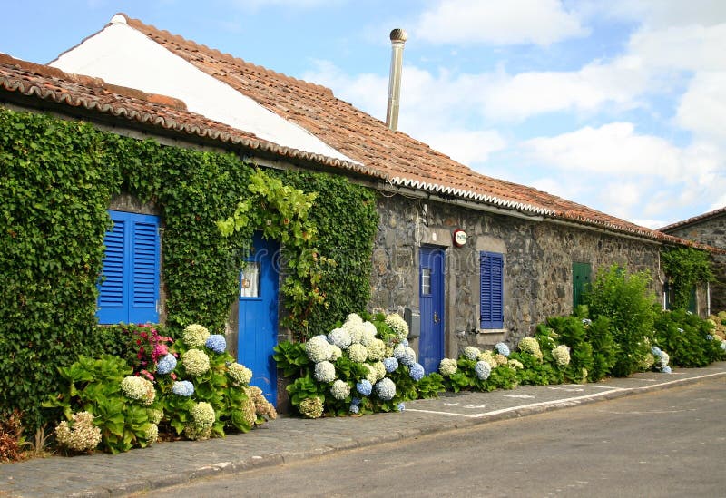 Traditional stone house covered with ivy and hydrangea - Azores, Portugal. Traditional stone house covered with ivy and hydrangea - Azores, Portugal