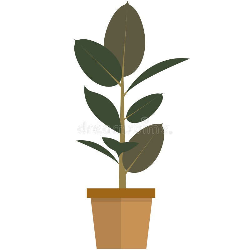 Green Houseplant in a Pot. Vector Illustration. Stock Vector ...