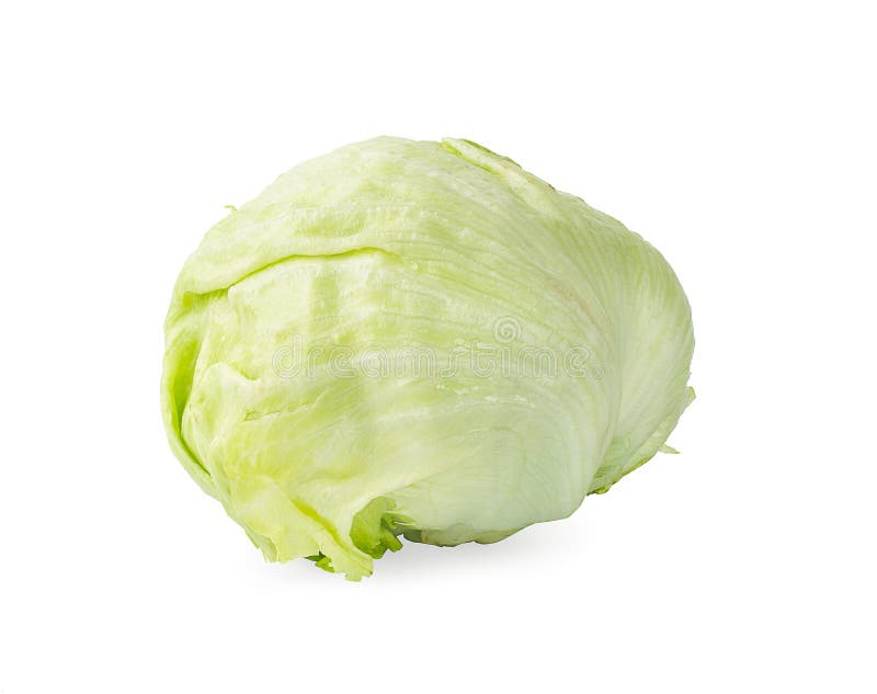 Green Iceberg Lettuce an Isolated on White Background Stock Photo