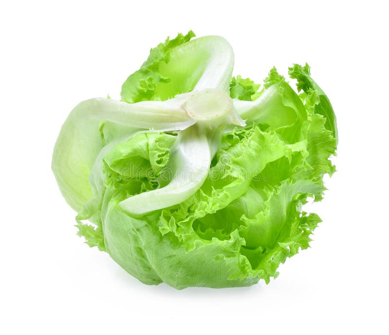 Green Iceberg Lettuce Isolated on White Background Stock Photo Image