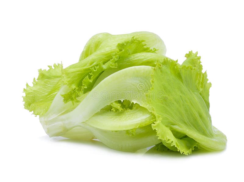 Green Iceberg lettuce stock photo. Image of natural, leafy 74158524