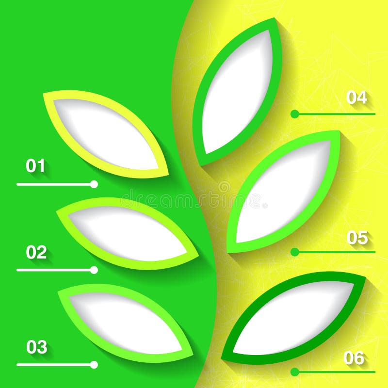 Green infograhpic background vector illustration