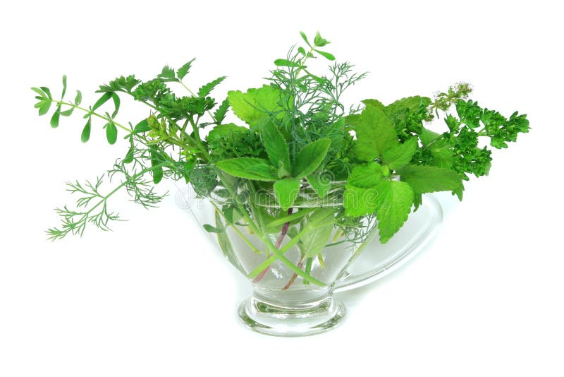 Green ingredients stock photo. Image of fresh, plant, herb 5404910