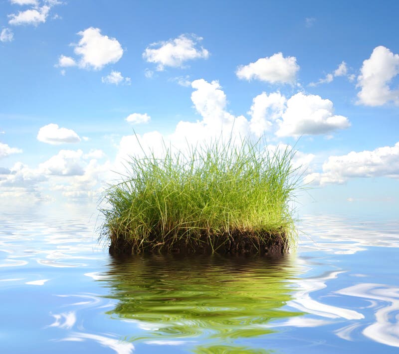 Green island in water