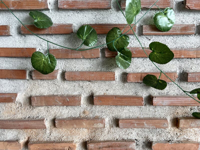 Green ivy on brick background royalty free stock photography
