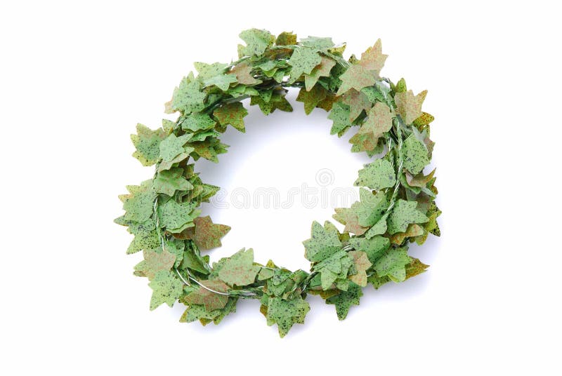 Green ivy wreath stock photo. Image of wreath, artificial 8376388
