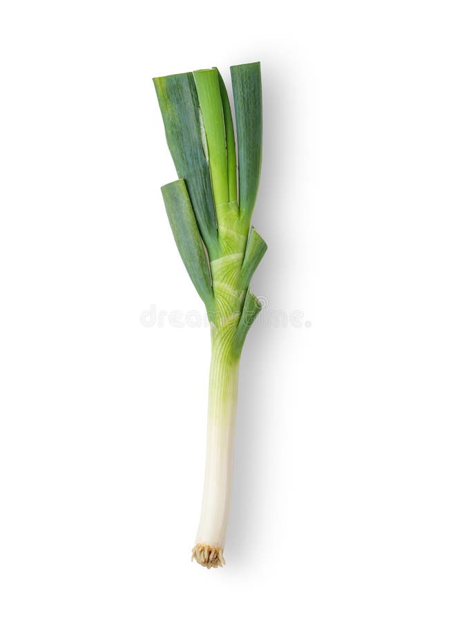 Green Japanese Bunching Onion on White Background. Stock Image Image of organic, spring 155575919