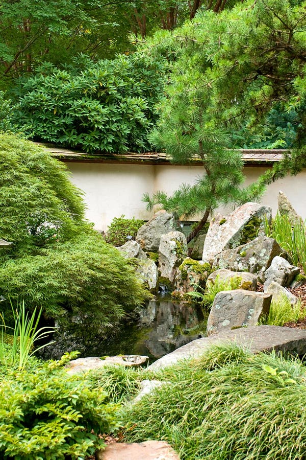 Green japanese garden stock photo