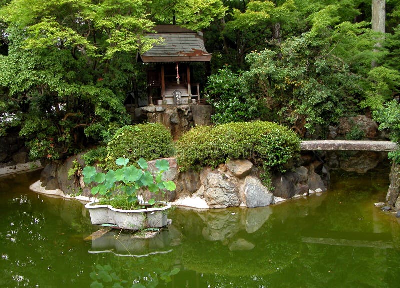 Green japanese garden