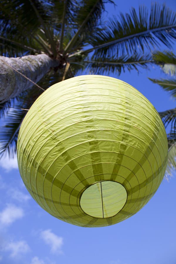 Green japanese lantern hanging from a palm tree stock photography