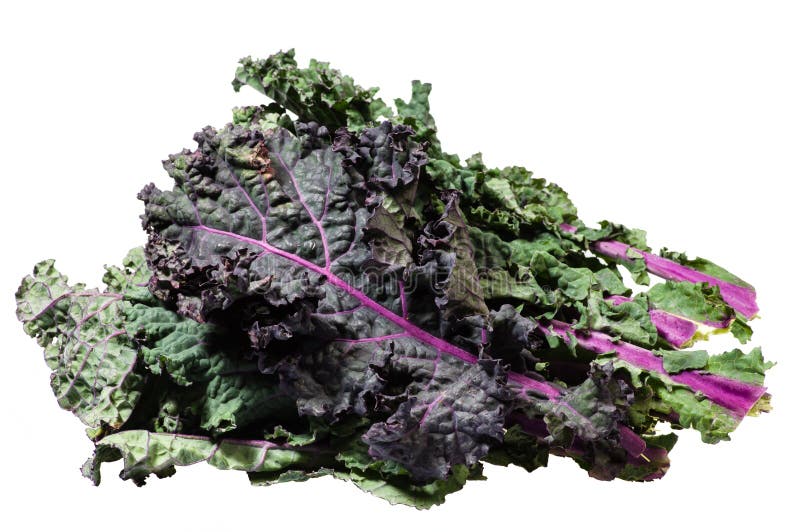 Green Kale Leaves Isolated on White Stock Photo Image of dieting