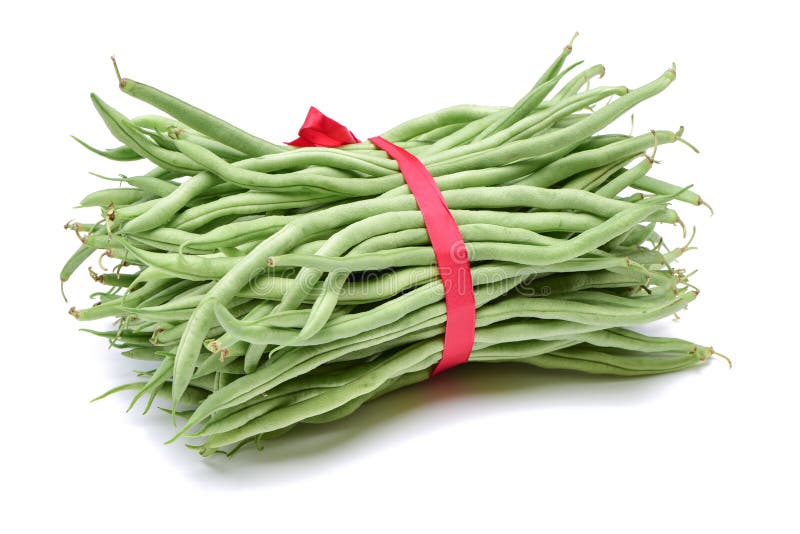 Green kidney bean stock photo. Image of green, isolated 115701042
