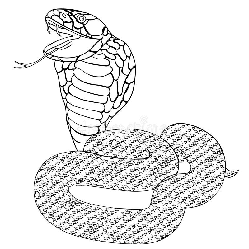 Green king cobra with fangs. vector illustration stock illustration