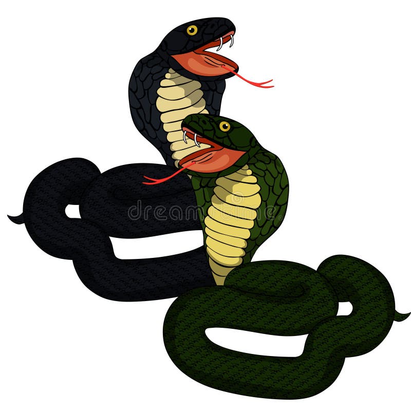 Green king cobra with fangs. vector illustration royalty free illustration