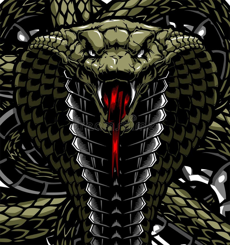 Desenhos animados Cobra Coiled imagem vetorial de cthoman© 132691246