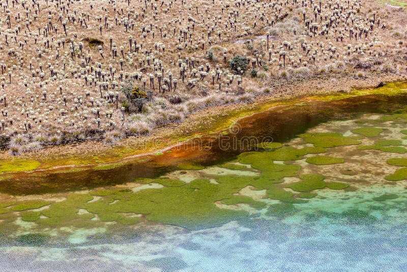 Verde lagunas sobre el pierna de volcán, andino en, provincia.