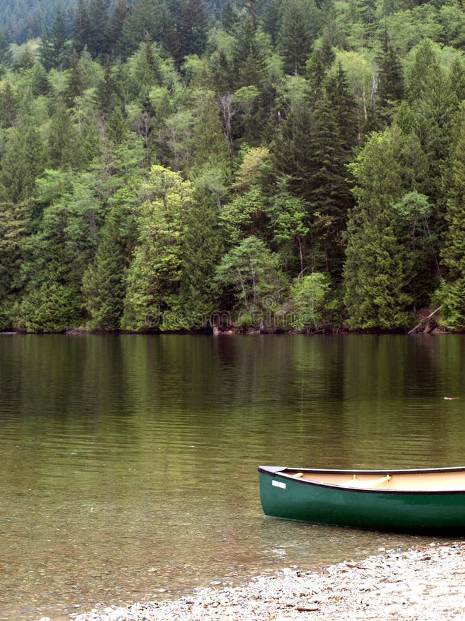 canoing on misty lake stock image. image of sunshine