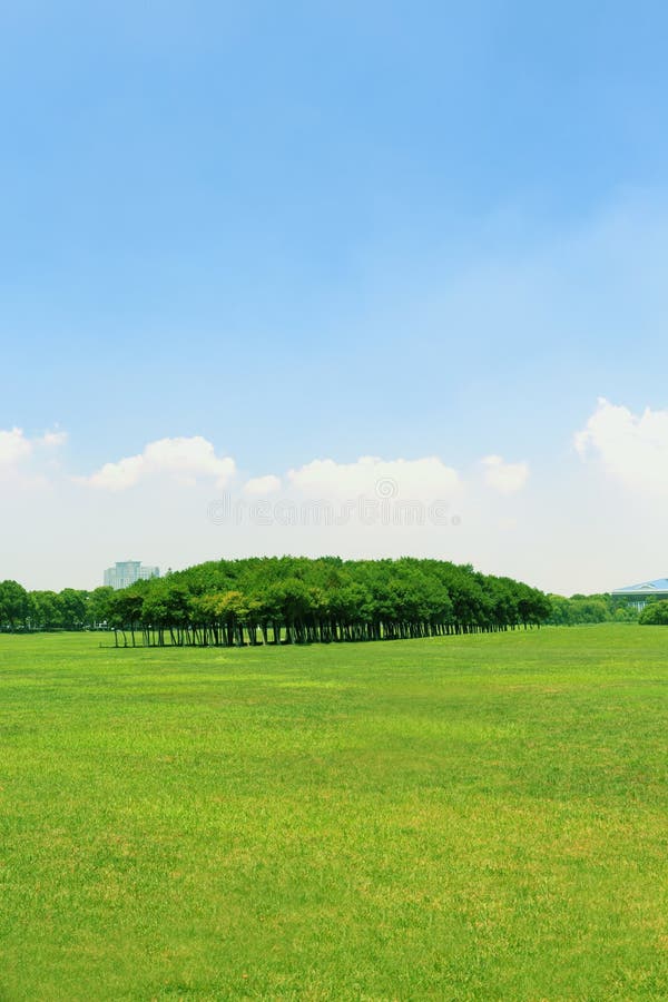 Green land stock photo. Image of forest, outdoor, coed - 43299806