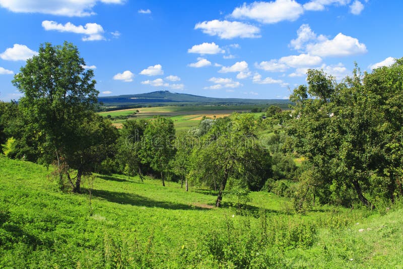 Green landscape