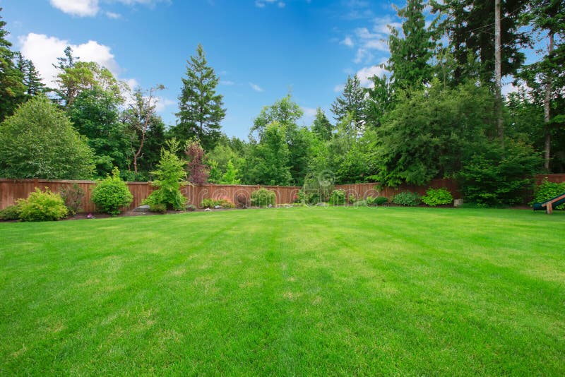 Green large fenced backyard with trees.