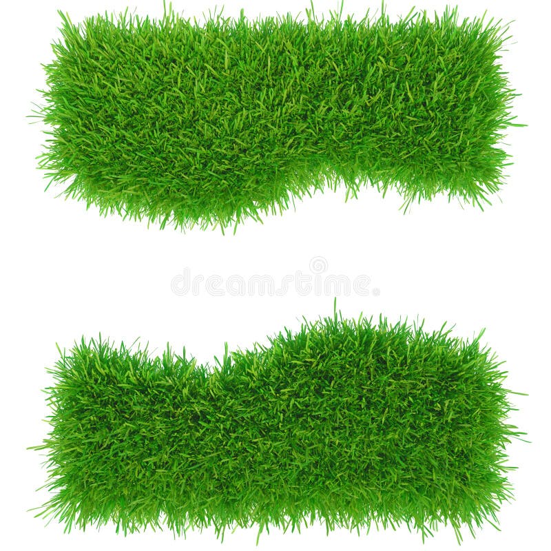 Green Lawn, Backyard for Background. 3d Rendering Grass Texture Stock