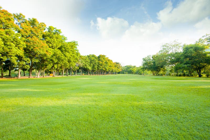 Green Lawn In Open Public Park Stock Photo Image Of Cool Light grass-photo
