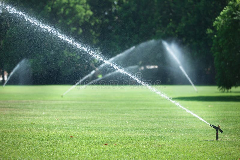 Green Lawn Sprinkled with Automatic Sprinkler Stock Image Image of