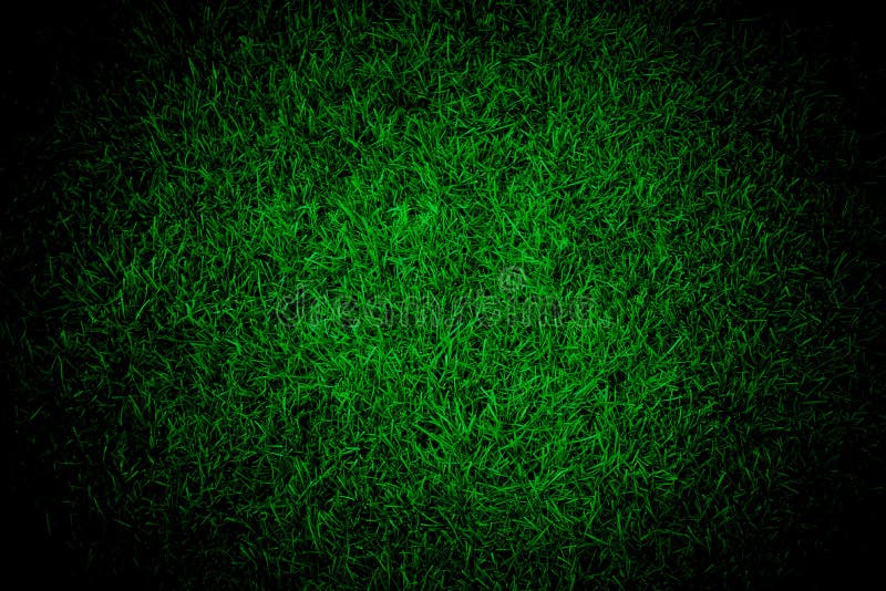 Green lawn texture background for design, closeup view. Copy space layout for design. Concept clean layout stock images, royalty-free photos and pictures