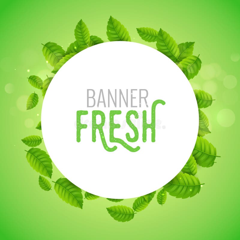Green Leaf Banner Vector Background Branch Spring Foliage Nature Forest