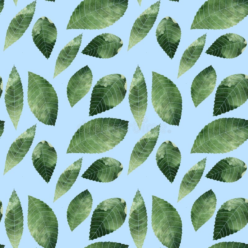 Green Leaf on Blue Background Stock Illustration Illustration of leaf