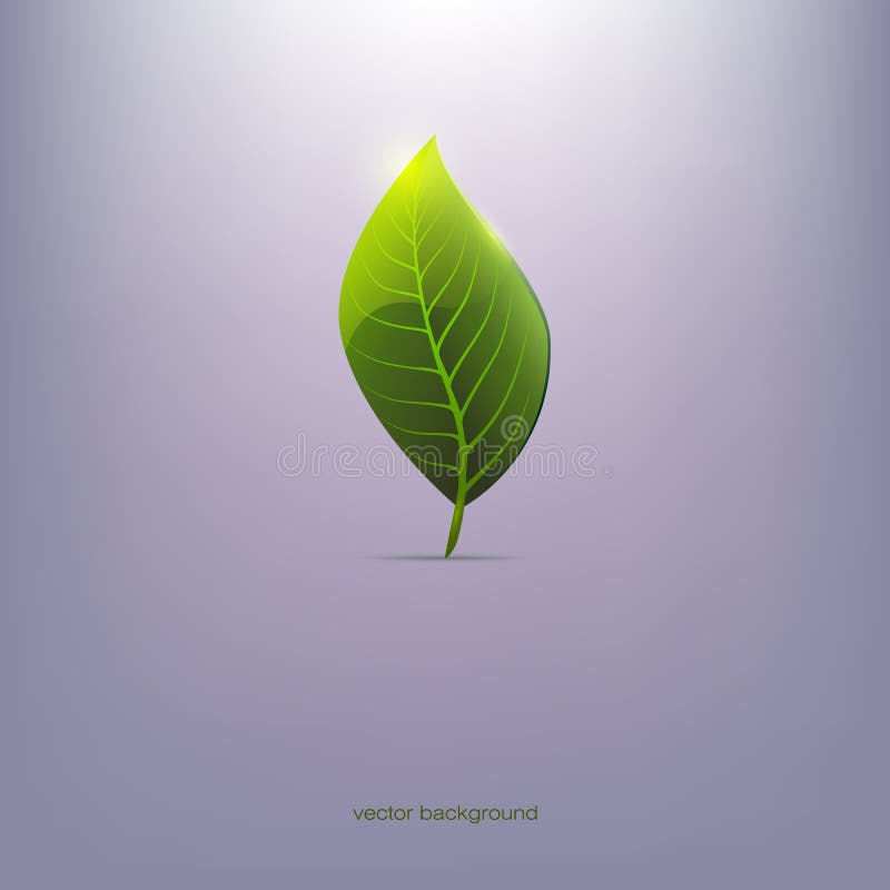 Green Leaf, Blue Background, Stock Vector Illustration of plant, leaf