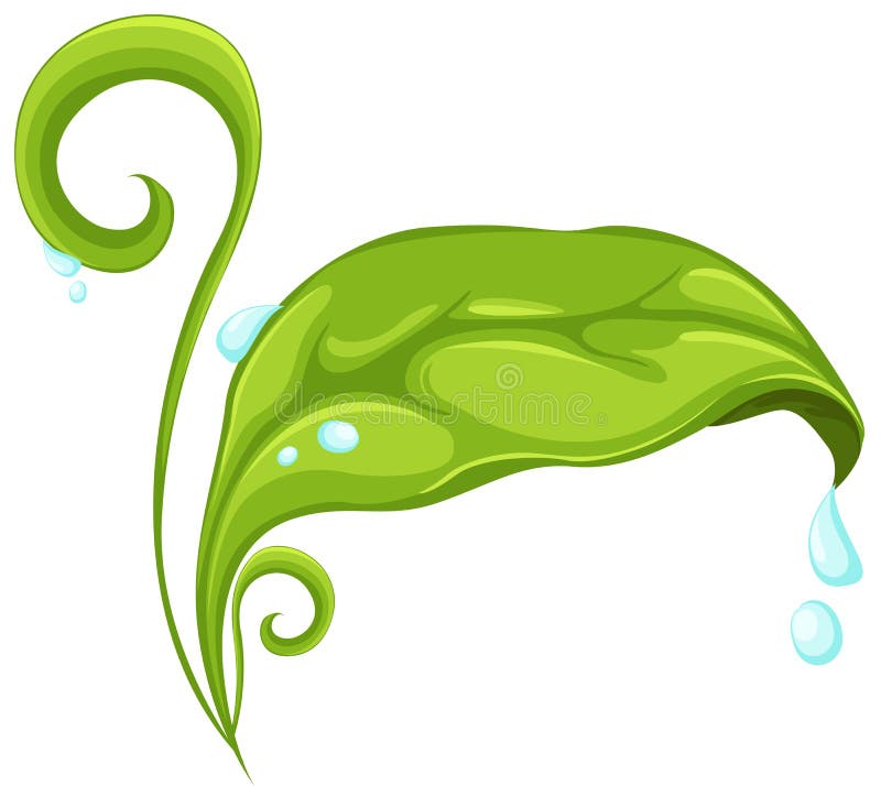 Green leaf with drop royalty free illustration