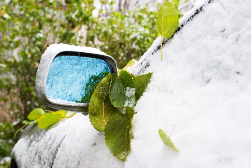 Green leaf and first snow on cars