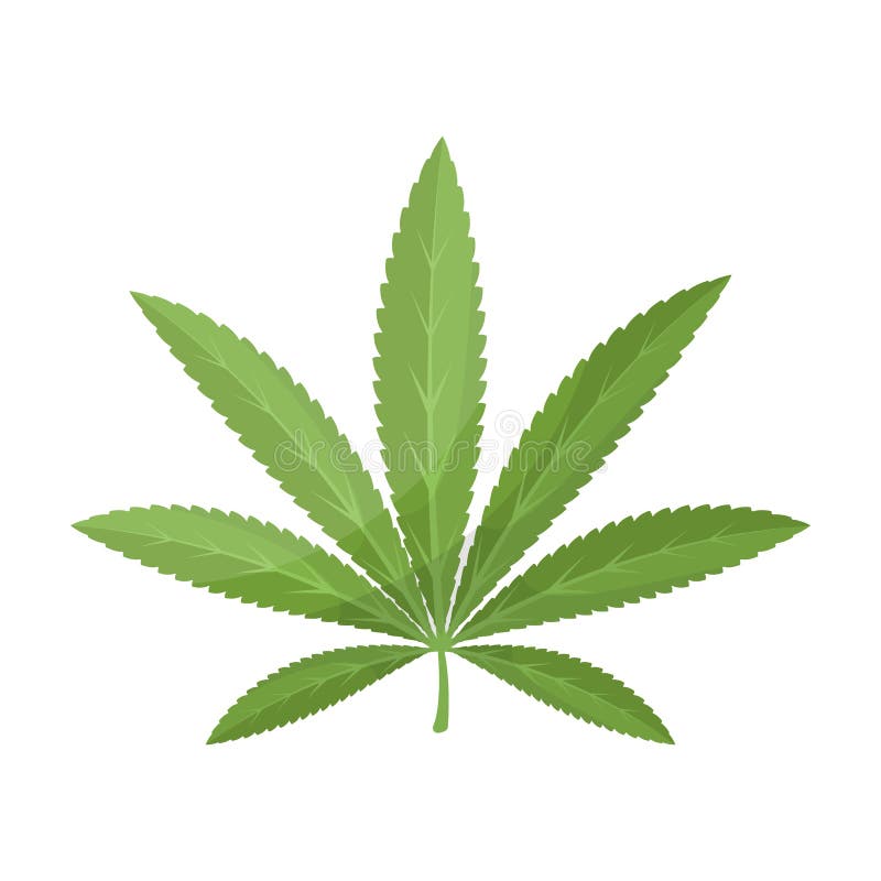 Green Leaf Of Hemp.Hippy Single Icon In Cartoon Style Rater,bitmap