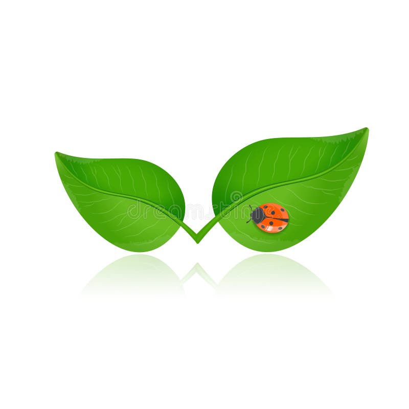 Green leaf with ladybird stock illustration Green leaf with ladybird stock illustration