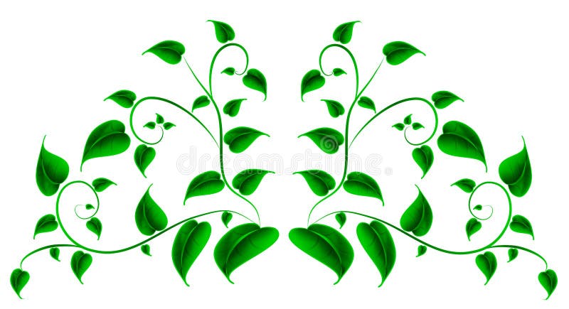 Green leaf stock vector. Illustration of creative, environmental - 35549533