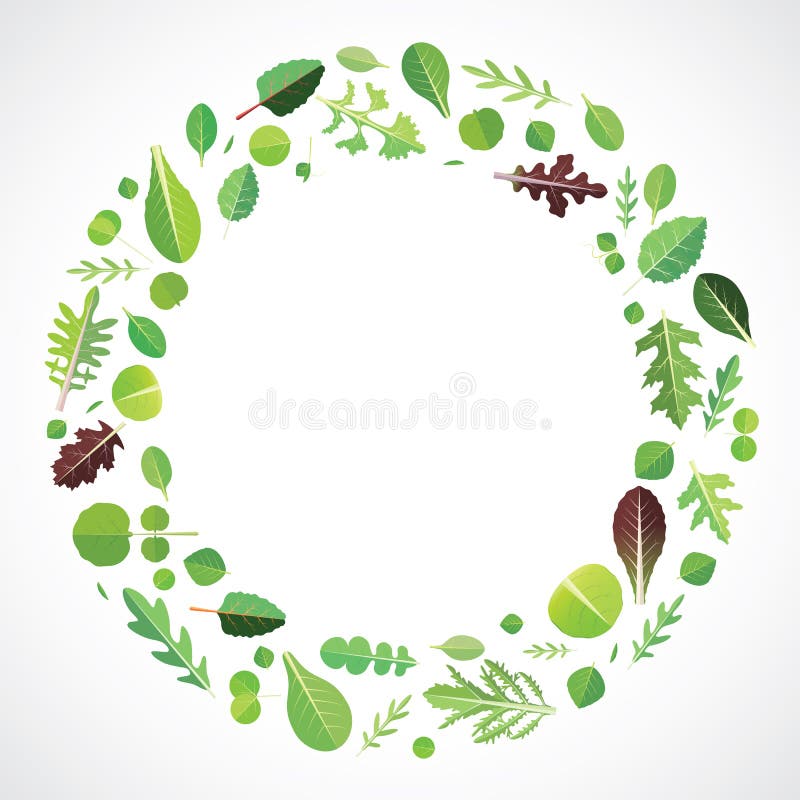 Green Leafy Stock Vector Illustration Of Chard Menu 56753086