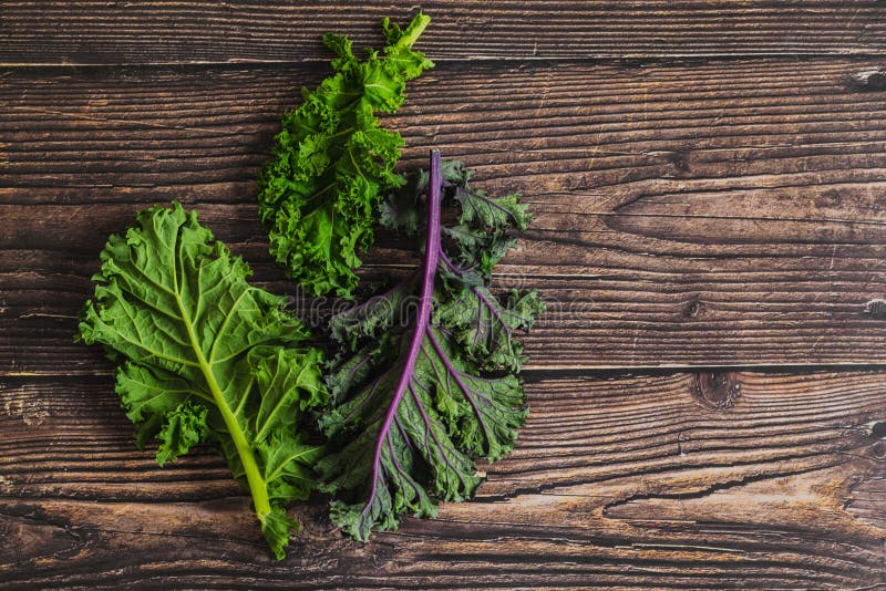 Green leafy kale stock image. Image of diet, garden 170336471