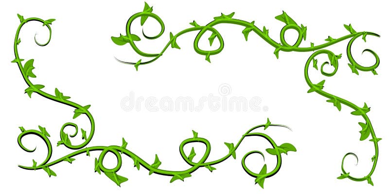 17,500+ Green Vines Stock Illustrations, Royalty-Free Vector