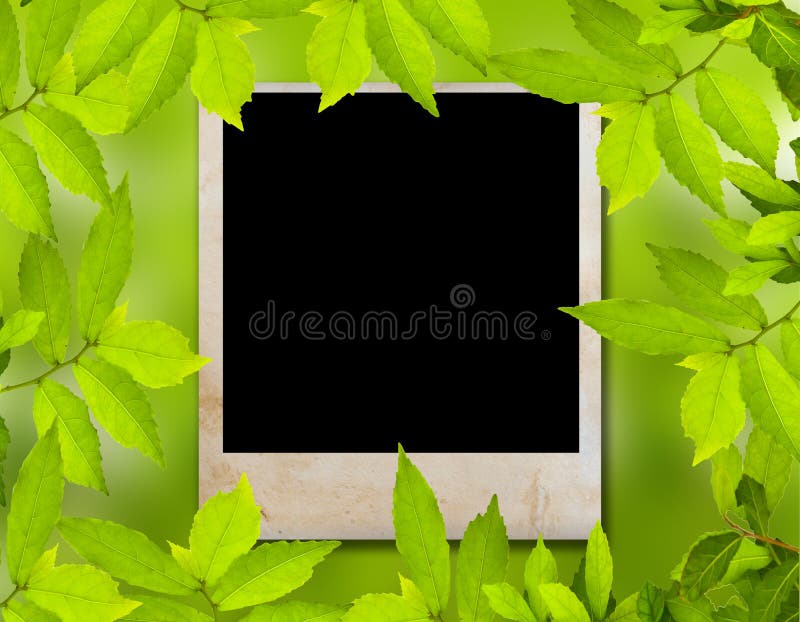 Green leave and photo frame