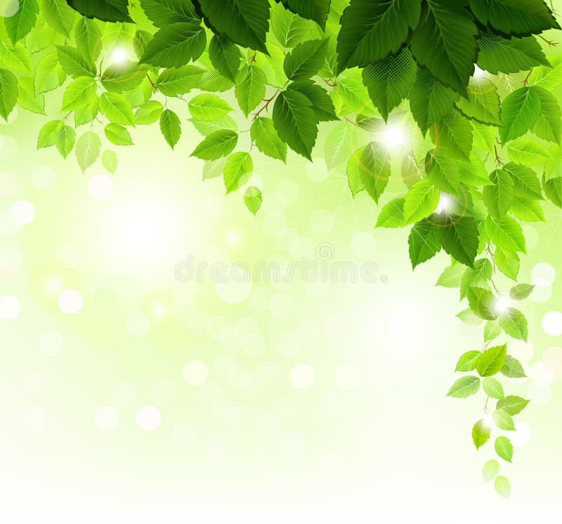 Green Leaves Tree Branches Vector Background Stock Vector ...