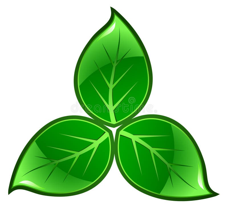 Green leaves royalty free illustration